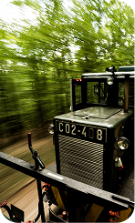 erdei-gasztroexpressz-kisvonat